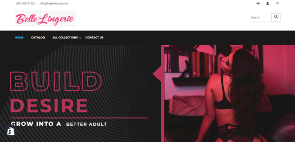Lingeries Dropshipping Store